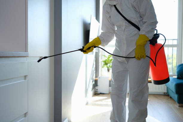 Best Commercial Mold Removal  in Cascade, IA