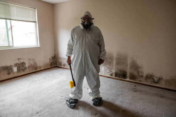Best Residential Mold Removal  in Cascade, IA